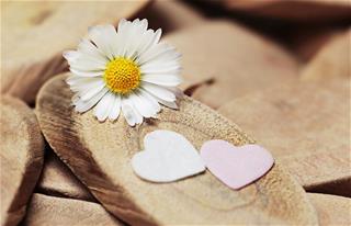 Tử vi thứ 3 ngày 18/5/2021 của 12 cung hoàng đạo: Sư Tử bất an, Kim Ngưu bướng bỉnh