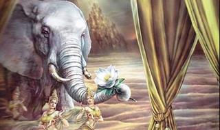 Vì sao Đức Phật hạ thế trong sắc tướng voi? Hé lộ duyên lành giữa voi và Ngài