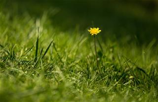 Tử vi thứ 2 ngày 31/5/2021 của 12 cung hoàng đạo: Song Tử dễ tính, Thiên Bình nhạy cảm