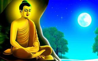 Ngỡ ngàng lý do Đức Phật im lặng 7 tuần sau khi thành đạo