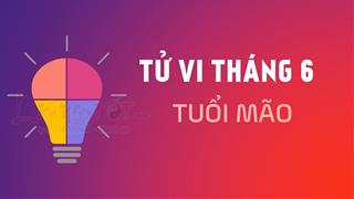 Tử vi tháng 6/2021 tuổi Mão âm lịch: Sự nghiệp thuận lợi, tình duyên rắc rối