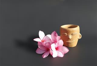 Tử vi thứ 4 ngày 30/6/2021 của 12 cung hoàng đạo: Xử Nữ chi li, Bạch Dương cứng cỏi