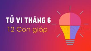 Tử vi tháng 6/2021 của 12 con giáp âm lịch: Vận trình biến động ra sao?