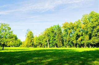 Dự báo thời tiết ngày 30/6/2021: Hà Nội ngày nắng nóng, chiều tối và đêm có mưa rải rác