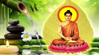 Đức Phật tiết lộ ai là người MẠNH NHẤT thế mà lâu nay ta tưởng họ YẾU ĐUỐI