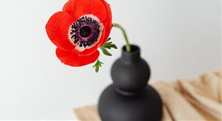 Tử vi thứ 4 ngày 14/7/2021 của 12 cung hoàng đạo: Hổ Cáp trì hoãn, Bảo Bình lạc quan