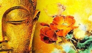 Đức Phật phân biệt 4 kiểu người cơ bản: Bạn là ai kẻ thông minh tinh tấn hay vẫn đang mu muội?