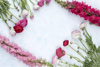 Tử vi Thứ 6 ngày 6/8/2021 của 12 con giáp: Tý thăng quan, Ngọ nhiệt tình