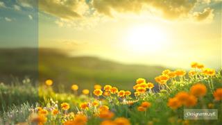 Dự báo thời tiết ngày 31/7/2021: Hà Nội ngày nắng nóng, đêm có mưa dông