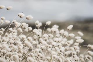 Tử vi Thứ 6 ngày 16/7/2021 của 12 con giáp: Thân đào hoa, Hợi khéo léo