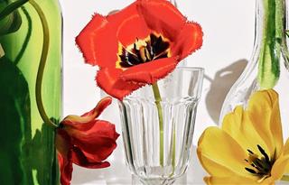 Tử vi thứ 3 ngày 24/8/2021 của 12 con giáp: Thân đào hoa, Tị được hỗ trợ