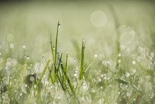 Tử vi Thứ 4 ngày 18/8/2021 của 12 con giáp: Hợi trục trặc, Dậu may mắn