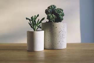 Tử vi Thứ 4 ngày 25/8/2021 của 12 con giáp: Sửu khấm khá, Mão hòa hợp