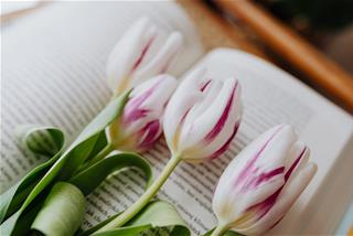 Tử vi thứ 2 ngày 30/8/2021 của 12 cung hoàng đạo: Hổ Cáp bực bội, Song Ngư trốn tránh