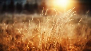 Dự báo thời tiết ngày 30/8/2021: Bắc Bộ giảm mưa, nhiệt độ tăng nhẹ