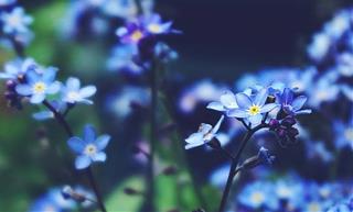 Tử vi thứ 4 ngày 4/8/2021 của 12 cung hoàng đạo: Cự Giải hiểu sai, Thiên Bình thiếu thực tế