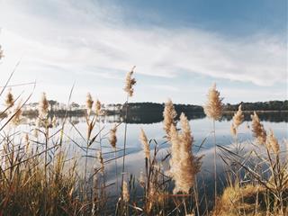 Tử vi Thứ 6 ngày 10/9/2021 của 12 con giáp: Tý cả tin, Thìn hoang mang