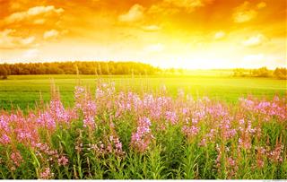 Dự báo thời tiết ngày 6/8/2021: Hà Nội tiếp tục tăng nhiệt, nắng nóng đến trên 38 độ