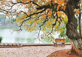 Dự báo thời tiết ngày 12/9/2021: Bắc Bộ tăng nhiệt nhẹ, Nam Bộ tiếp tục mưa dông