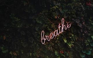 Tử vi thứ 2 ngày 20/9/2021 của 12 cung hoàng đạo: Hổ Cáp sợ hãi, Bảo Bình bối rối