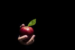 Hãy cảnh giác với những điều cám dỗ dễ đẩy 12 con giáp đi lầm đường lạc lối