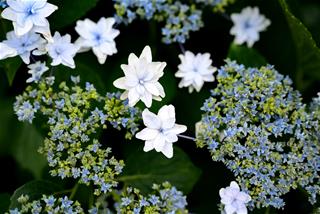 Tử vi tuần mới của 12 cung hoàng đạo (27/9-3/10/2021): Cự Giải gặp áp lực, Thiên Bình nên sống chậm