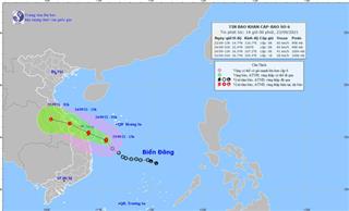 Áp thấp nhiệt đới mạnh lên thành bão số 6, đảo Lý Sơn có gió giật cấp 8