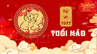 Tử vi tuổi Mão 2022: Tiền kiếm nhiều hơn năm ngoái