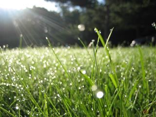 Dự báo thời tiết ngày 4/9/2021: Hà Nội ngày nắng nhẹ, đêm có mưa rải rác