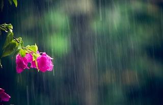 Dự báo thời tiết ngày 5/9/2021: Bắc Bộ đêm và sáng có mưa rào rải rác, Nam Bộ mưa dông cục bộ