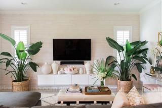 Bật mí những loại cây cảnh may mắn để ở phòng khách dịp Tết, lộc vào nhà ào ào