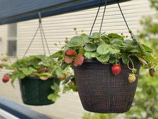 Tử vi thứ 3 ngày 25/1/2022 của 12 con giáp: Ngày tiễn Táo quân lên chầu trời, tuổi nào may mắn ngập tràn?