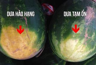 Cách chọn dưa hấu ngon dịp Tết 2023, vừa đẹp mắt vừa ngọt lịm ai cũng phải gật gù khen ngợi