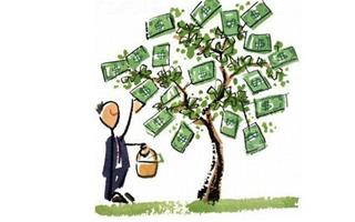 Bất ngờ vì việc tưởng như vô nghĩa sau lại vô tình tạo ra của cải dồi dào