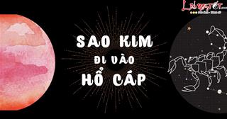 Sao Kim đi vào cung Hổ Cáp tháng 11/2022: May mắn LỚN nào sẽ đến gặp 12 cung hoàng đạo?