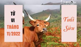 Tử vi tháng 11/2022 tuổi Sửu âm lịch: Xã giao hài hòa, vận trình tăng tiến
