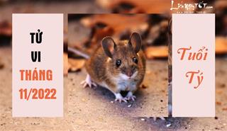 Tử vi tháng 11/2022 tuổi Tý âm lịch: Sự nghiệp thăng hoa, tình duyên xao nhãng