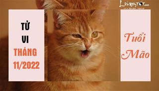 Tử vi tháng 11/2022 tuổi Mão âm lịch: Sự nghiệp ảm đạm, tình duyên triển vọng