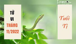 Tử vi tháng 11/2022 tuổi Tị âm lịch: Công việc bề bộn, quan hệ mâu thuẫn