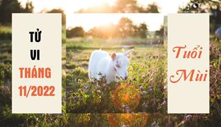 Tử vi tháng 11/2022 tuổi Mùi âm lịch: Cuộc sống bế tắc, dễ phạm tiểu nhân
