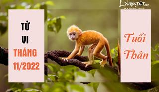 Tử vi tháng 11/2022 tuổi Thân âm lịch: Cơ hội ngập tràn, vận trình tăng tiến