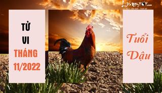 Tử vi tháng 11/2022 tuổi Dậu âm lịch: Tiểu nhân rình rập, nguy cơ ẩn tàng