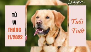 Tử vi tháng 11/2022 tuổi Tuất âm lịch: Càng cố gắng bao nhiêu, càng thành công bấy nhiêu