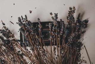 Tử vi thứ 7 ngày 12/11/2022 của 12 con giáp: Dần bị hiểu lầm, Thân nhanh nhạy