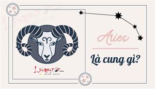Aries là cung gì? Giải mã bí ẩn cung hoàng đạo Aries chi tiết