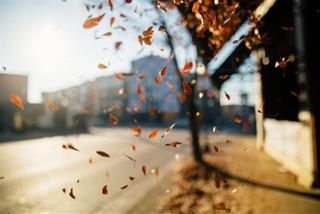 Tử vi thứ 2 ngày 17/10/2022 của 12 con giáp: Sửu trắc trở, Dần nghiêm túc