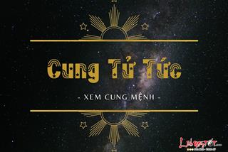 Cung Tử Tức là gì? Luận giải ý nghĩa 14 chính tinh ở cung Tử Tức