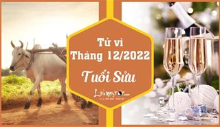 Tử vi tháng 12/2022 tuổi Sửu âm lịch: Có thăng có trầm, nên thận trọng hơn