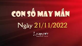 Con số may mắn hôm nay 21/11/2022 theo tuổi của bạn: Chọn SỐ ĐẸP giúp ĐỔI ĐỜI