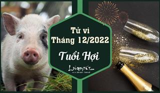 Tử vi tháng 12/2022 tuổi Hợi âm lịch: Vận khí thăng cấp, đón nhiều hỷ sự